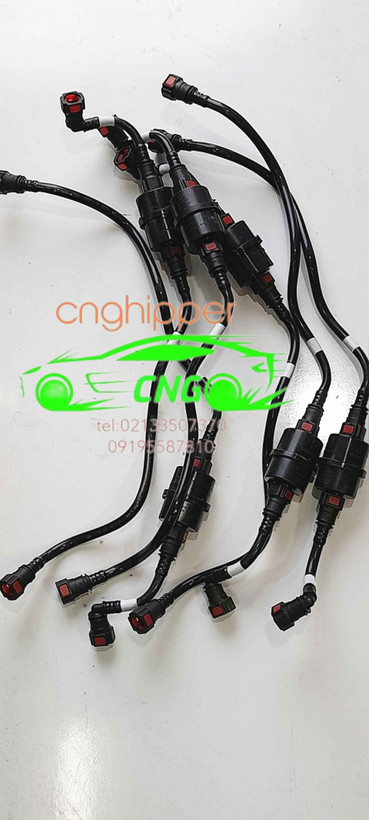 شلنگ گاز ای اف سون cng سوکتی زیمنس با صافی ef7